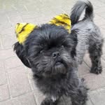 BWellner - @billewellner - Instagram