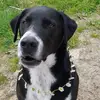 Billie ewers - @billie.ewers - TikTok