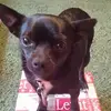 Billy Lewers - @billylewers - TikTok