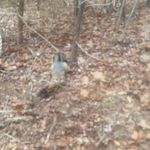 Bill Fair - @billfair5275 - Instagram