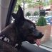 Bill Fairchild - Facebook