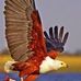 Bill Fairchild - Facebook