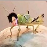 THE REAL BILL KAULITZ (NOT FAKE❗❗) - @inlovewithbill.kaulitz - Instagram