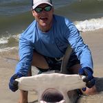 Bill Falconer - @bill_falconer - Instagram
