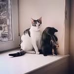 Billy & Tilly Falconer - @billy_and_tilly_falconer - Instagram