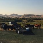 Bill Featherston - @featherston_bill - Instagram