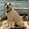 Bill Feldman - @bill.feldman - TikTok