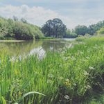 Will Fenner - @wfenner1 - Instagram