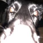 Bill Flint - @bill_flint324 - Instagram