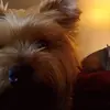 billyfloyd1 - @billyfloyd1 - TikTok