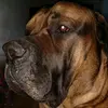 billyfloyd567 - @billyfloyd567 - TikTok