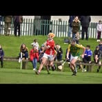 Bill Fogarty - Facebook