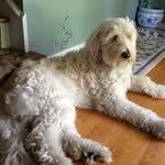 Bill Folk - @wmfolk - Instagram