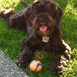 Bill Friedman - @bill.friedman - Instagram