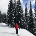 bill friedman - @wafbi21 - Instagram