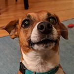 BIll Friedman - @friedman.bill - Instagram