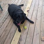 Bill Fyler - @billfyler - Instagram