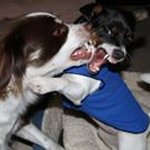 Bill Gaddy - @billgaddy - Instagram