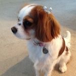 Bill Carolyn Gage - @billcarolyn - Instagram
