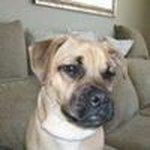 Bill Galloway - @bill7280 - Instagram