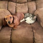 Bill Galloway - @billgalloway314 - Instagram