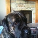 Bill Galloway - @bill.galloway.355 - Instagram