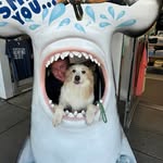 Billie Jo Garfield - @billiejogarfield - Instagram