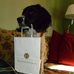 Bill Gatz - Facebook