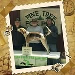 Bill Gerding - @bill.gerding.710 - Instagram