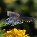 Bill Gerding - Facebook