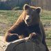Billy Gholson - Facebook