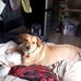Bill Gill - Facebook