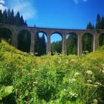 Bill Gillard - @gillard2577 - Instagram