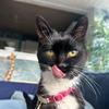 bill gillespie - @bill.gillespie72 - TikTok
