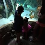 Teresa Gilley Billam - @teresagilleybillam - Instagram