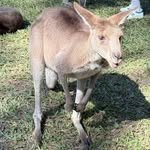 Bill Gladding - @billgladding - Instagram