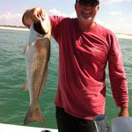 Bill Glisson - @glisson.bill - Instagram
