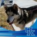 William Goben - Facebook