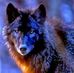 Bill Goble - Facebook