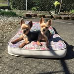 Bill Goble - @goblebill - Instagram