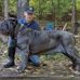 William Goetz - Facebook
