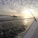 Bill Gomez - @bill.gomez.58 - Instagram