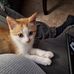 Bill Gomez - Facebook