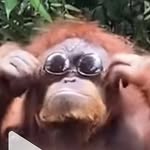 @bill.goodyear127 - Instagram