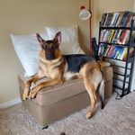 Bill Gray - @bill.gray.827 - Instagram