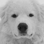 Bill Gregg - @bill.gregg.9809672 - Instagram