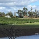 Bill Gregg - @billgregg55 - Instagram