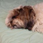 Bill Gresham - @popsmarkingtheworld - Instagram