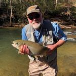 Bill Gresham - @fukkolegne - Instagram