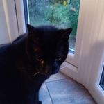 Bill Gresham - @gresham_bill - Instagram